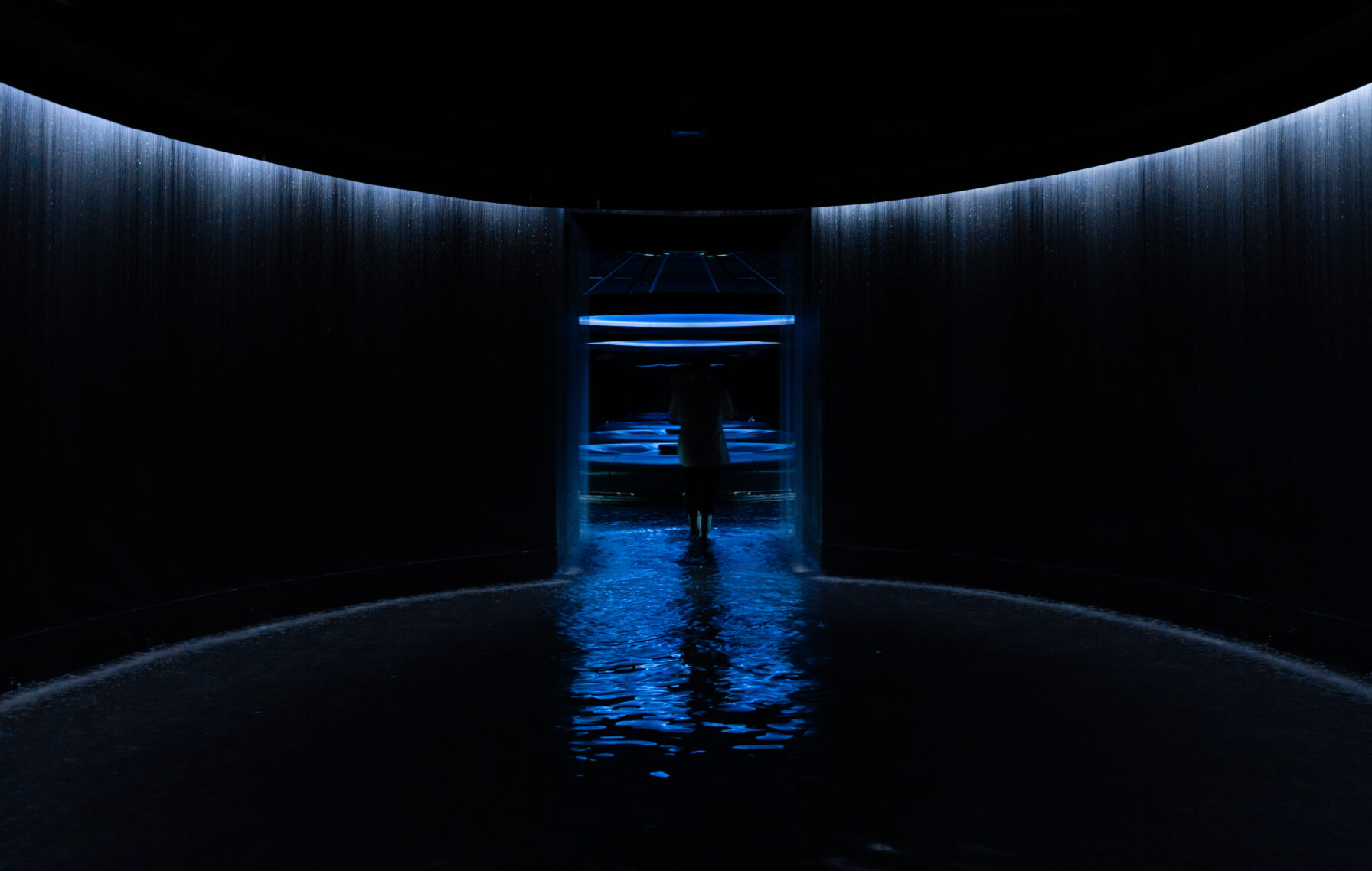 Forest Bathing: Lupuna — Executive Creative Producer, 2024. Therme Euskirchen, Germany · Multisensory installation