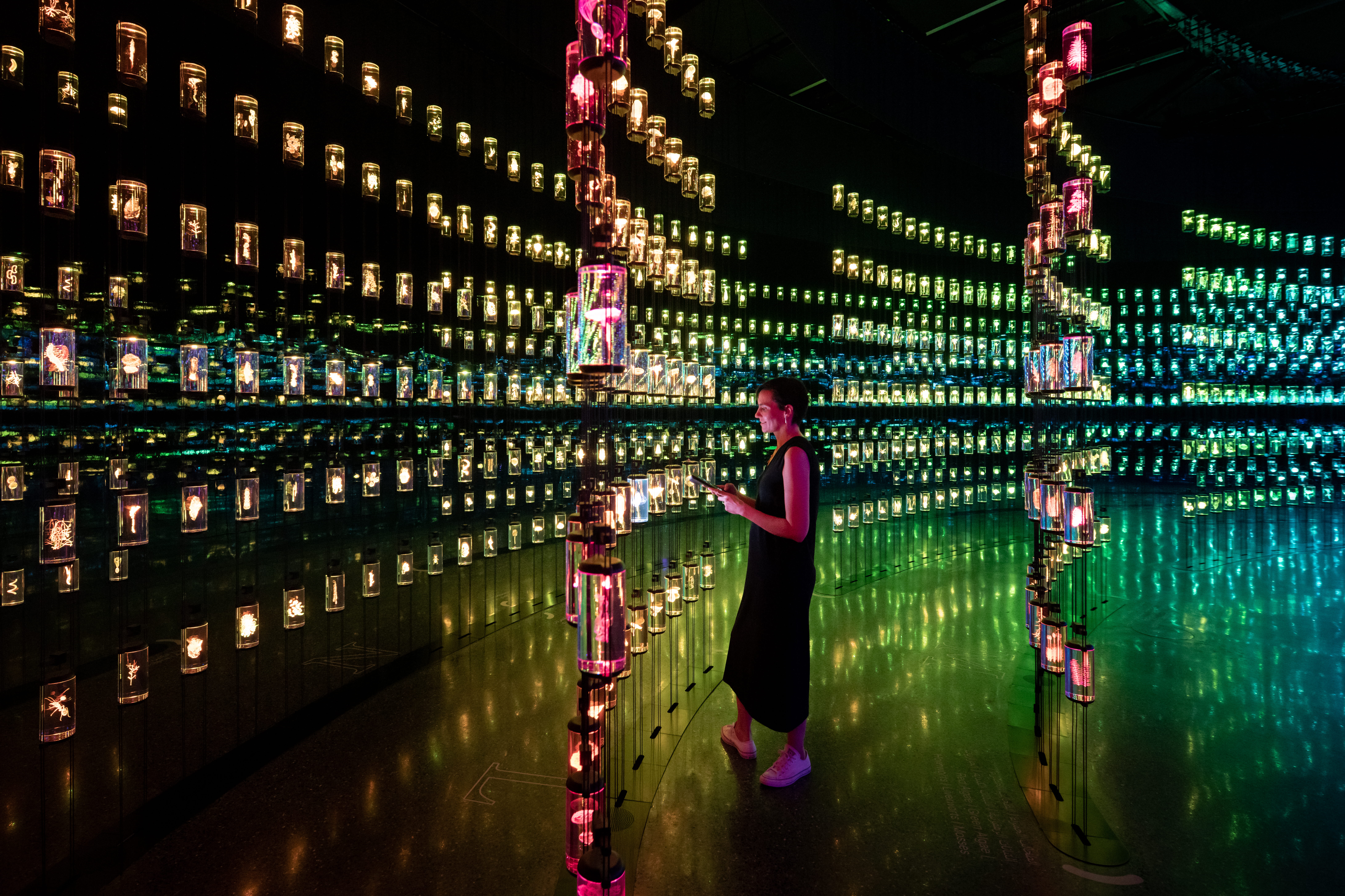 Museum of the Future — The HEAL Institute — 2