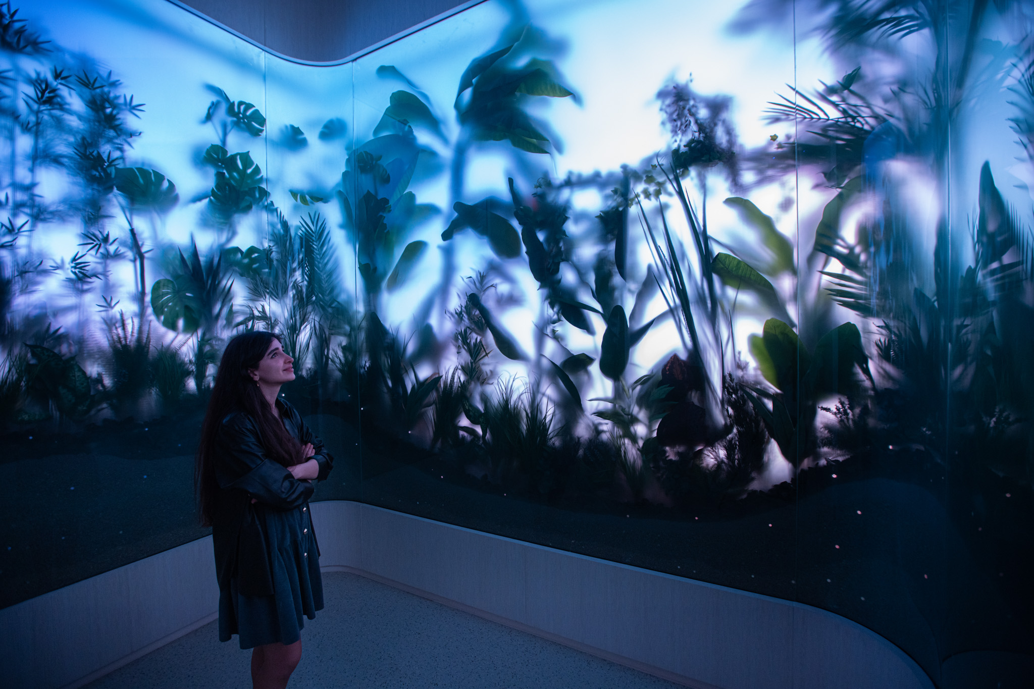 Museum of the Future — The HEAL Institute — 9
