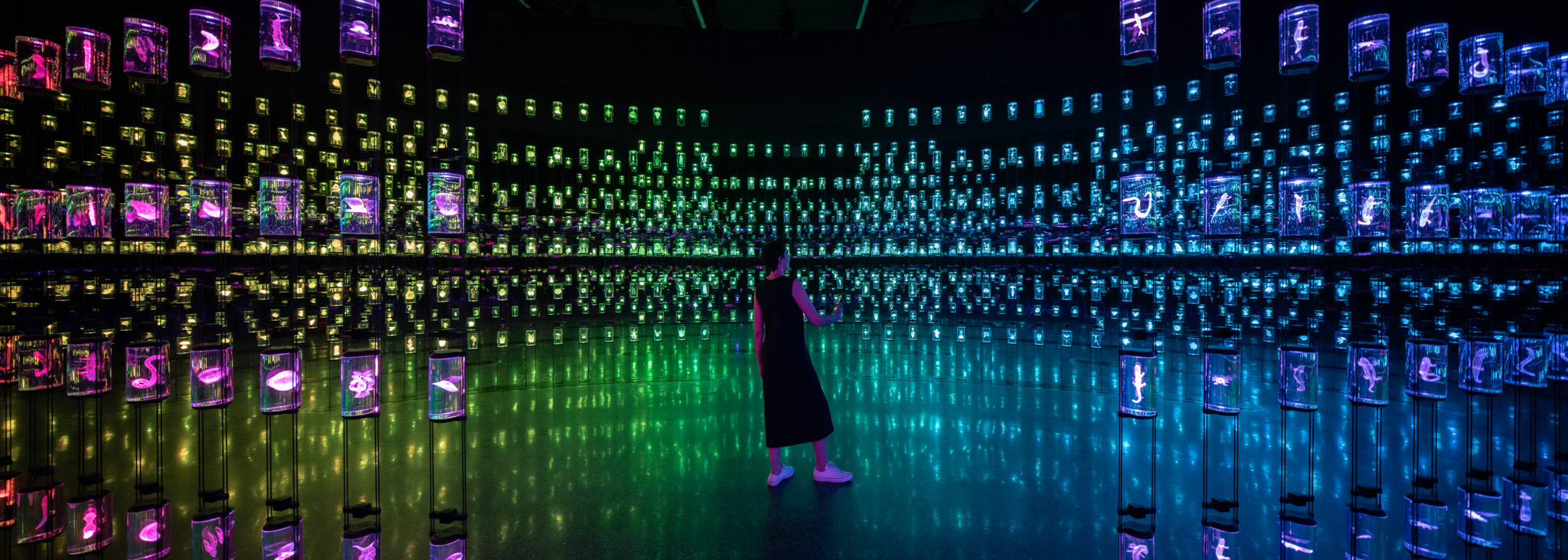 Museum of the Future — The HEAL Institute — 16
