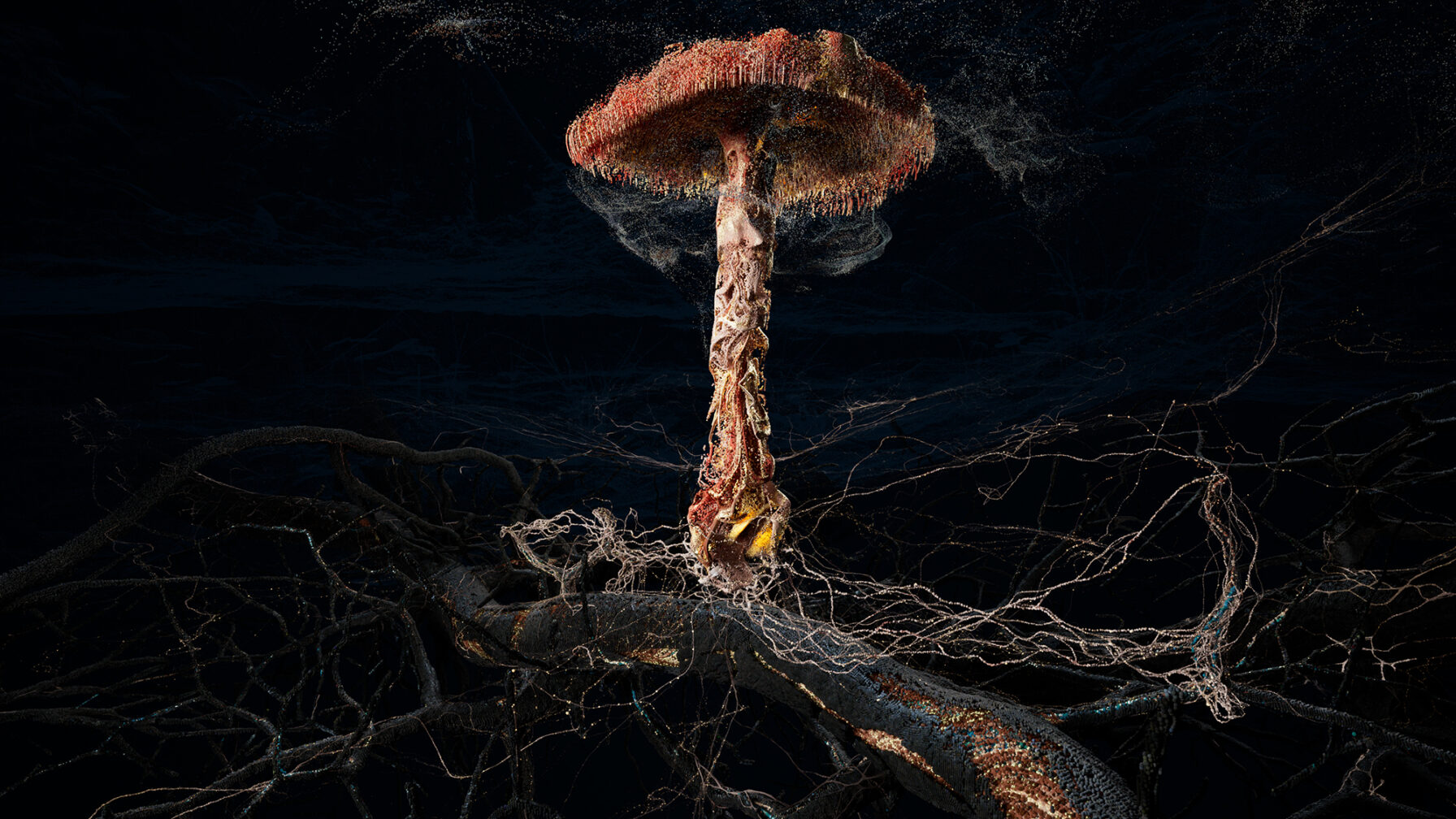 Poetics of Soil: Fly Agaric I — 5