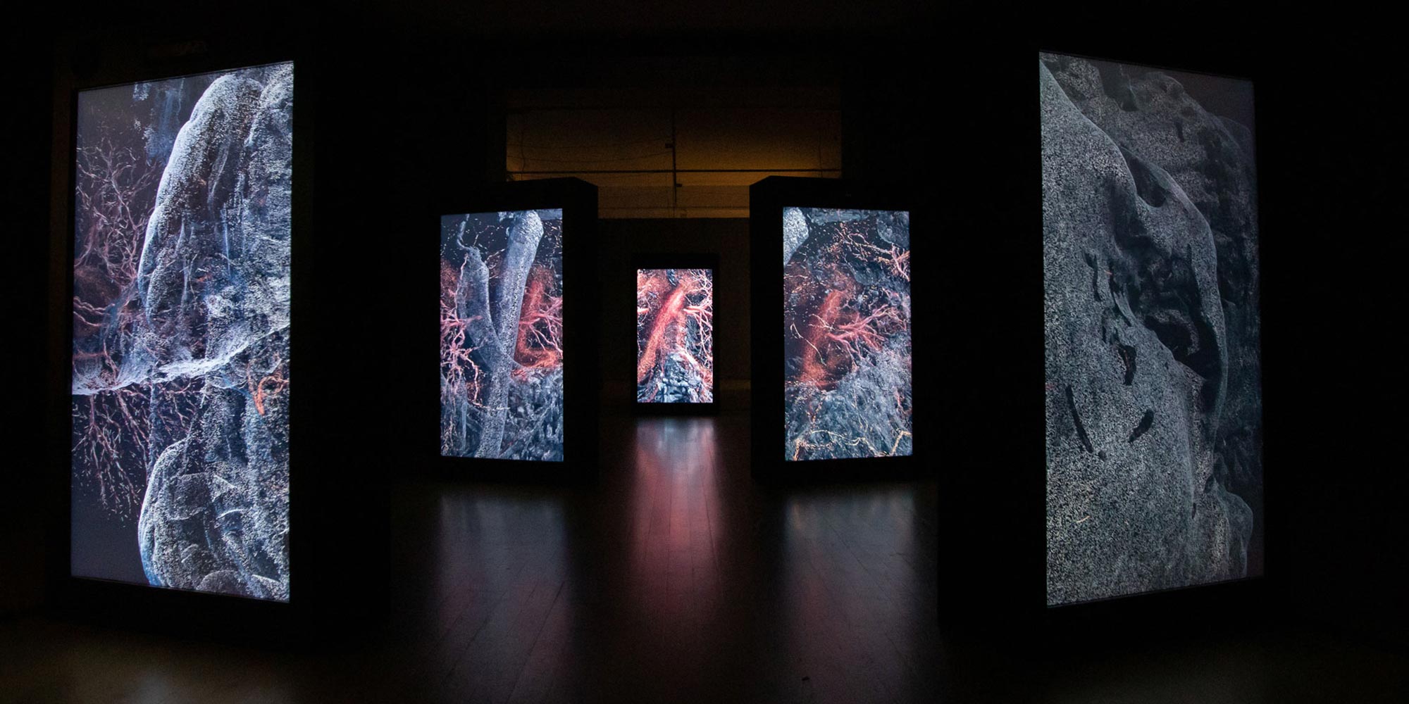 The Tides Within Us — Senior Producer, 2021. York Art Gallery · Coventry UK City of Culture 2021 · Interactive installation
