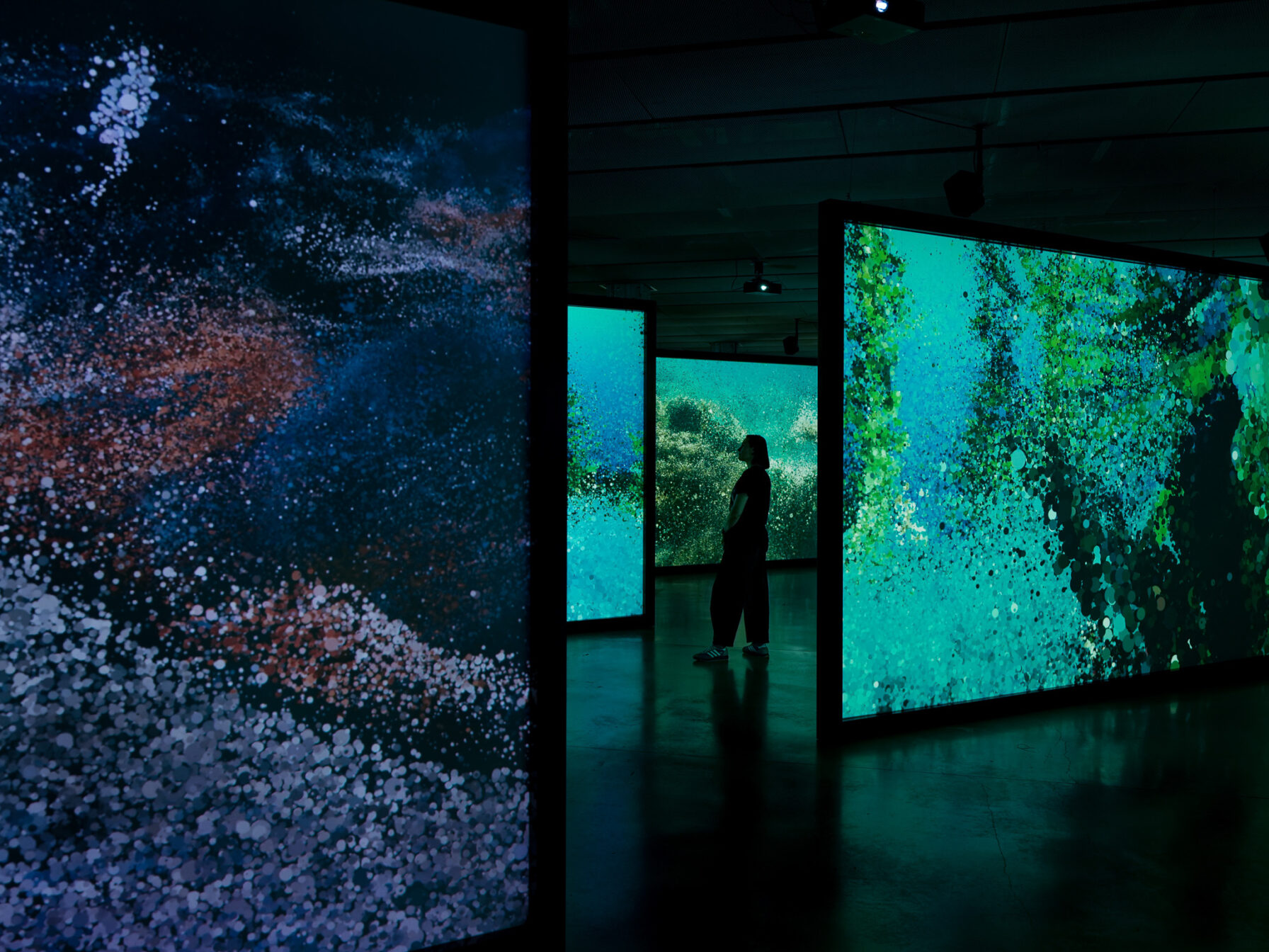 Seeing Echoes in the Mind of the Whale — 5
