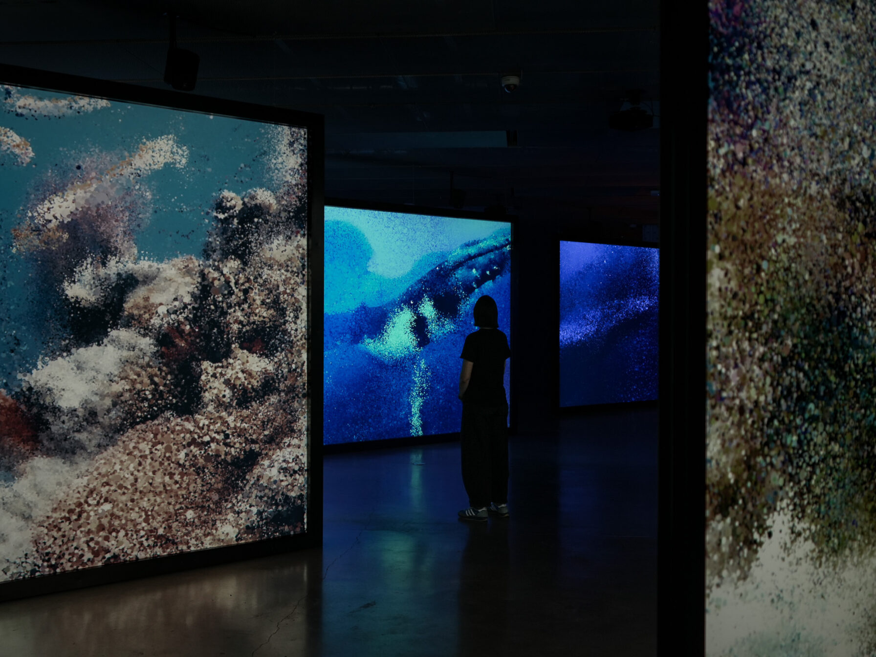 Seeing Echoes in the Mind of the Whale — 6