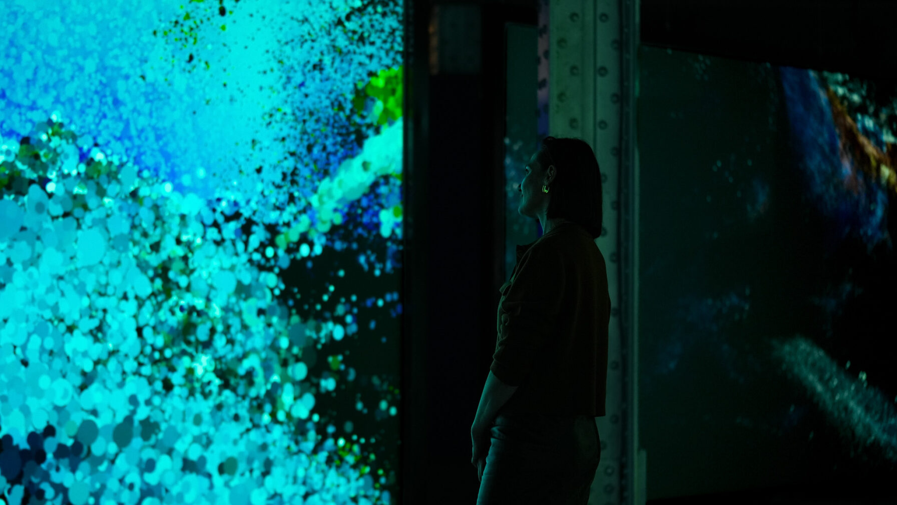 Seeing Echoes in the Mind of the Whale — 7
